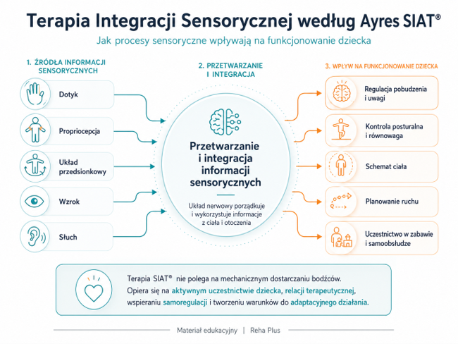 Od źródeł informacji sensorycznych do funkcjonowania dziecka.