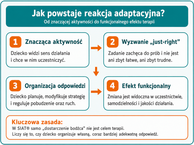 Jak powstaje reakcja adaptacyjna